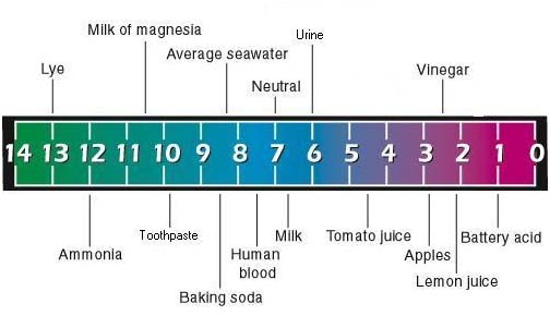 Comparison of pH Levels